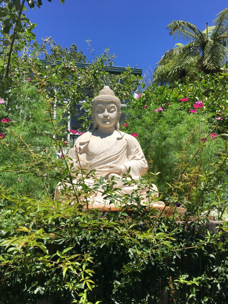 Buddha garden 1